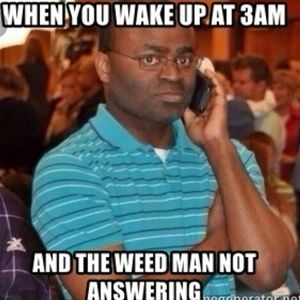 Meet your Posher, Henry